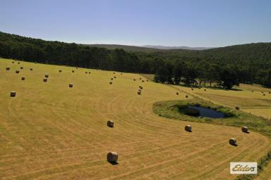 Other (Rural) For Sale - VIC - Alberton West - 3971 - THE RIDGE  (Image 2)