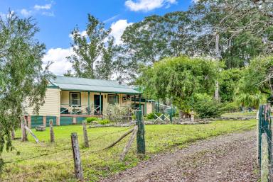 House Sold - NSW - Fosterton - 2420 - Peaceful, Private, Paradise  (Image 2)