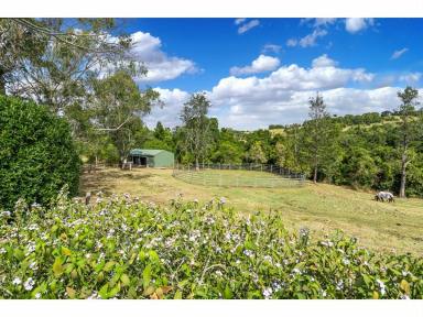 House For Sale - NSW - East Lismore - 2480 - Unique Acreage Offering Close to Town with DA Approved Subdivision  (Image 2)