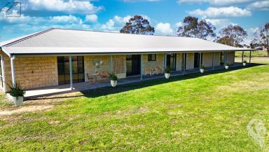 House For Sale - NSW - Narrabri - 2390 - SPACIOUS HOME WITH RURAL VIEWS ON 2HA!  (Image 2)
