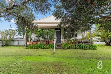 House For Sale - NSW - Branxton - 2335 - Three bedroom cottage  (Image 2)