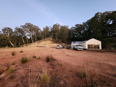 Lifestyle Sold - NSW - Singleton - 2330 - Secluded 393 Acres* Neighbouring Mt Royal National Park  (Image 2)