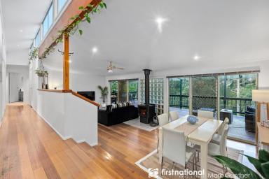 House For Sale - VIC - Toolangi - 3777 - Secluded Retreat on Myers Creek  (Image 2)