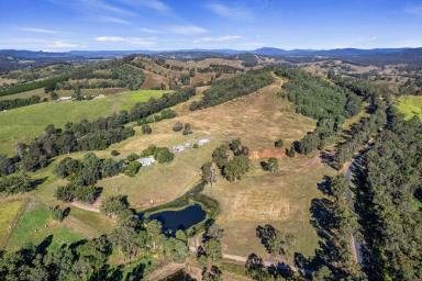 Acreage/Semi-rural For Sale - QLD - Amamoor - 4570 - DREAM HOBBY FARM IN THE SOUGHT AFTER MARY VALLEY  (Image 2)