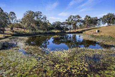 Acreage/Semi-rural For Sale - QLD - Amamoor - 4570 - DREAM HOBBY FARM IN THE SOUGHT AFTER MARY VALLEY  (Image 2)