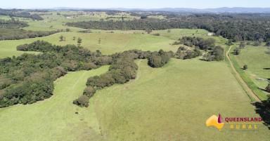 Other (Rural) For Sale - QLD - Danbulla - 4872 - Premium Atherton Tablelands Breeding or Fattening Estate  (Image 2)