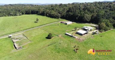 Other (Rural) For Sale - QLD - Danbulla - 4872 - Premium Atherton Tablelands Breeding or Fattening Estate  (Image 2)