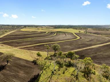 Mixed Farming For Sale - QLD - Southbrook - 4363 - 481 Cornford Road, Southbrook.  (Image 2)