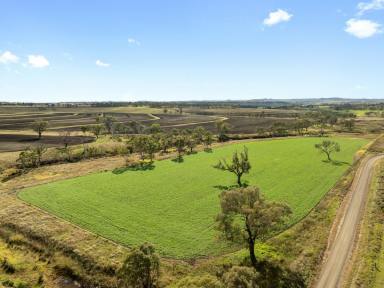 Mixed Farming For Sale - QLD - Southbrook - 4363 - 481 Cornford Road, Southbrook.  (Image 2)