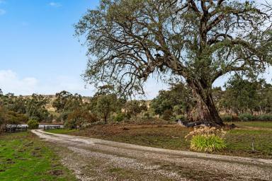 House Sold - SA - Eden Valley - 5235 - Quiet country living in Eden Valley….  (Image 2)