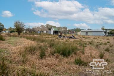 Residential Block For Sale - NSW - Emmaville - 2371 - Village Building Block  (Image 2)