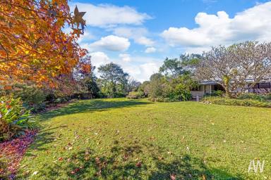 Acreage/Semi-rural Sold - QLD - Palmwoods - 4555 - Coveted Equestrian 10 Acre Boutique Farmlet  (Image 2)