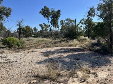 Residential Block For Sale - NSW - Lightning Ridge - 2834 - WLL 14676, Lightning Ridge  (Image 2)