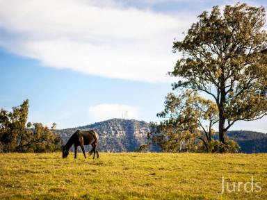 Lifestyle For Sale - NSW - Pokolbin - 2320 - HUNTER VALLEY’S MOST COVETED LOCATION  (Image 2)