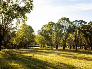 Lifestyle For Sale - NSW - Pokolbin - 2320 - HUNTER VALLEY’S MOST COVETED LOCATION  (Image 2)