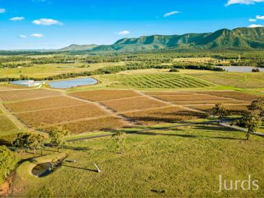 Lifestyle For Sale - NSW - Pokolbin - 2320 - HUNTER VALLEY’S MOST COVETED LOCATION  (Image 2)