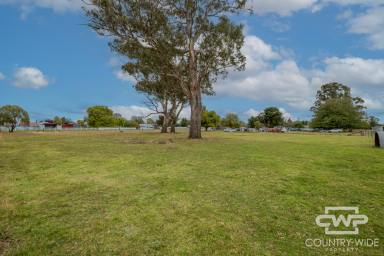 Residential Block For Sale - NSW - Guyra - 2365 - The Perfect Canvas  (Image 2)
