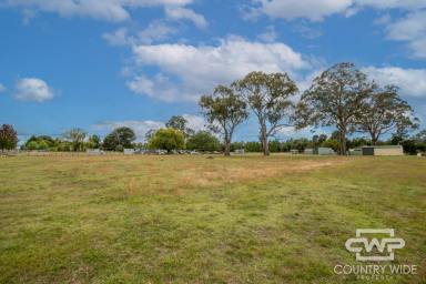 Residential Block For Sale - NSW - Guyra - 2365 - The Perfect Canvas  (Image 2)
