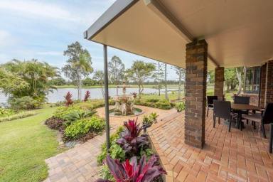 Commercial Farming For Sale - QLD - Dunmora - 4650 - "Lake View Farm" (325 ACRES) 4BR HOME, Income & Lifestyle  (Image 2)