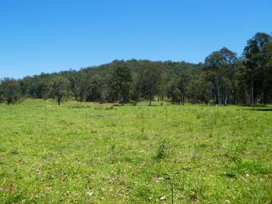 Lifestyle For Sale - NSW - Myrtle Creek - 2469 - CROP TILL YOU DROP  (Image 2)