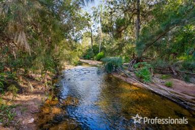 Livestock Sold - QLD - Widgee - 4570 - Thornside, Widgee  (Image 2)