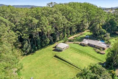 Acreage/Semi-rural Sold - QLD - Palmwoods - 4555 - Escape to Paradise: Experience Country Living at Its Finest  (Image 2)