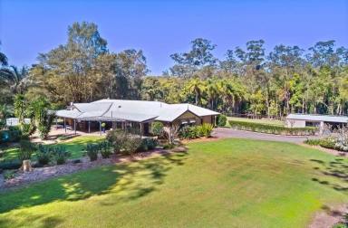 Acreage/Semi-rural Sold - QLD - Palmwoods - 4555 - Escape to Paradise: Experience Country Living at Its Finest  (Image 2)