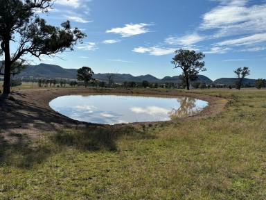 Mixed Farming Sold - NSW - Sandy Hollow - 2333 - Country Living at its Best!!  (Image 2)