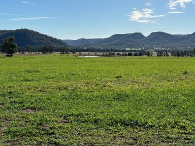 Mixed Farming Sold - NSW - Sandy Hollow - 2333 - Country Living at its Best!!  (Image 2)