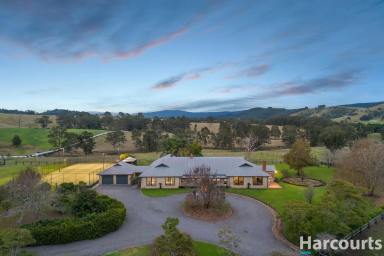 Acreage/Semi-rural Sold - NSW - Dungog - 2420 - "Barrington Park" – Exceptional Country Estate  (Image 2)