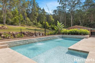 House For Sale - NSW - Seaham - 2324 - Serenity At It's Finest… Peace, Quiet & Tranquillity on This Lifestyle Acreage  (Image 2)