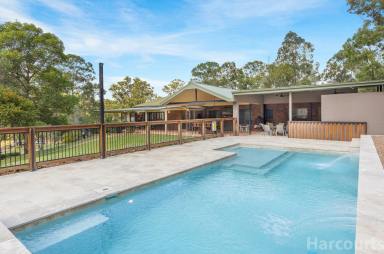 House Sold - NSW - Seaham - 2324 - Serenity At It's Finest… Peace, Quiet & Tranquillity on This Lifestyle Acreage  (Image 2)