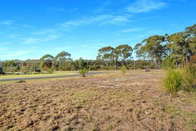 Residential Block For Sale - NSW - Sussex Inlet - 2540 - Prime 788m2 Corner Block in Sussex Rise - Ideal for Dream Home or Duplex  (Image 2)