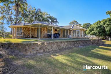 House Sold - QLD - North Gregory - 4660 - RENOVATED BRICK FAMILY HOME  (Image 2)