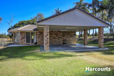 House Sold - QLD - North Gregory - 4660 - RENOVATED BRICK FAMILY HOME  (Image 2)