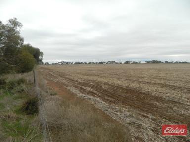 Other (Rural) For Sale - SA - Lower Light - 5501 - 84 ACRES - LAND OPPORTUNITY  (Image 2)