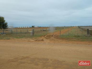 Residential Block For Sale - SA - Lower Light - 5501 - 2 X 20 ACRES LAND OPPORTUNITIES  (Image 2)