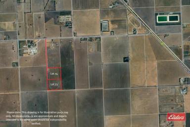 Residential Block For Sale - SA - Lower Light - 5501 - 2 X 20 ACRES LAND OPPORTUNITIES  (Image 2)