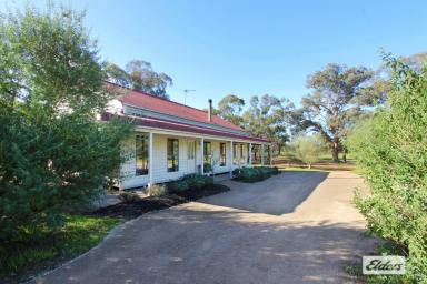 Acreage/Semi-rural Sold - VIC - Lockwood - 3551 - RENOVATED COUNTRY COTTAGE ON 20 PICTURESQUE ACRES  (Image 2)