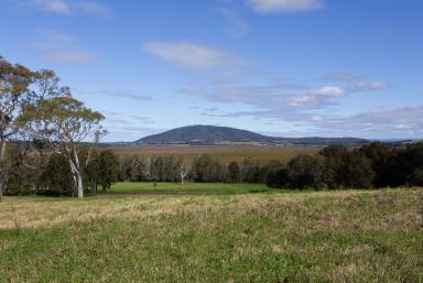 Residential Block For Sale - NSW - Berry - 2535 - Feel the Serenity!  (Image 2)