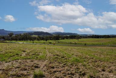 Residential Block For Sale - NSW - Berry - 2535 - Feel the Serenity!  (Image 2)