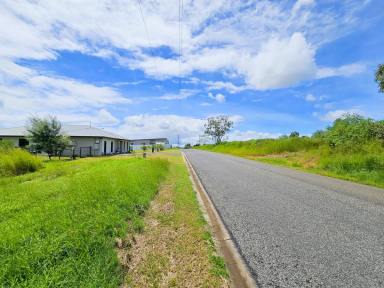 Residential Block For Sale - QLD - Mareeba - 4880 - LARGE LOT IN BARRY ESTATE  (Image 2)
