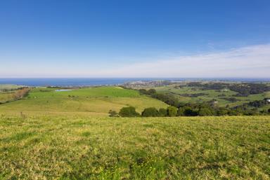 Lifestyle Sold - NSW - Rose Valley - 2534 - 'Meerblick' - Ocean Views  (Image 2)