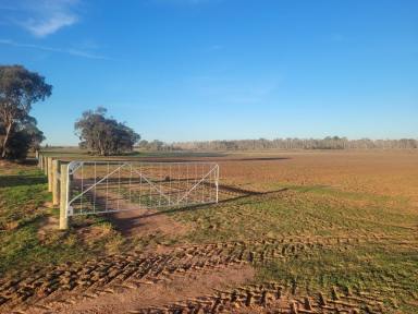 Farmlet Sold - VIC - Woorinen North - 3589 - 31.84 Ha Farmlet  (Image 2)