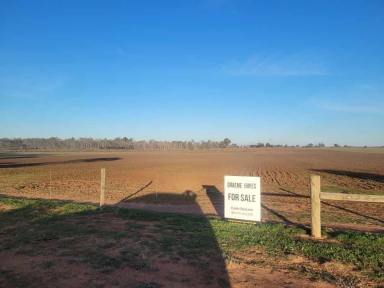 Farmlet Sold - VIC - Woorinen North - 3589 - 31.84 Ha Farmlet  (Image 2)