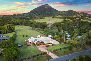 House Leased - QLD - Eumundi - 4562 - Five Bed Family Home With Incredible Mountain Views!  (Image 2)