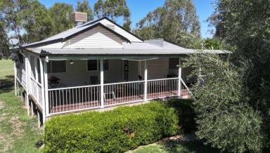 House For Lease - NSW - Moree - 2400 - Rural feel on Courallie Street!  (Image 2)
