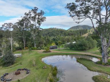 Lifestyle For Sale - NSW - Killabakh - 2429 - Stillmore Farm  (Image 2)