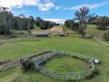 Lifestyle For Sale - NSW - Killabakh - 2429 - Stillmore Farm  (Image 2)