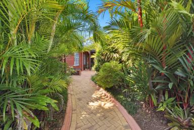 House For Sale - QLD - Kurrimine Beach - 4871 - Coastal Retreat with Breathtaking Ocean Views  (Image 2)